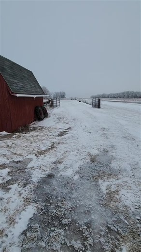 🐓powerhousemafia🐓 (@powerhousemafia)’s videos with original sound - 🐓powerhousemafia🐓