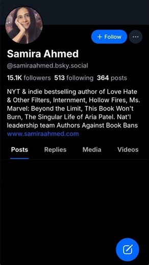 How to Follow Someone in Bluesky Application