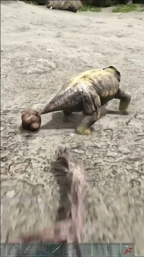 Lystrosaurus Taming Guide: How to Tame Lystrosaurus | Ark Survival Evolved