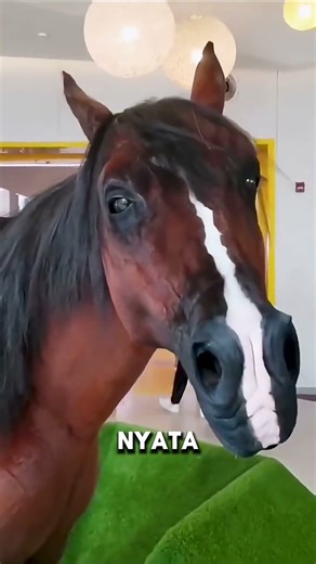 Begini Cara Film Membuat Kuda Berlari Tanpa Kuda #faktaunik #faktamenarik #informative