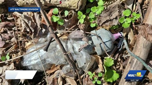 ATF Baltimore helps clear suspected pipe bombs from park