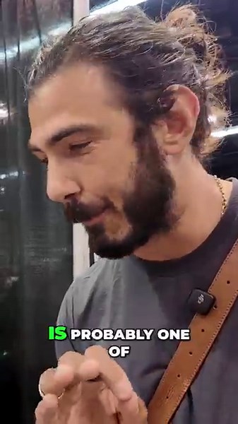 Stunning Albino Gopher Snake! #shorts