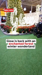 Now is the time to immerse yourself in this enchanted forest winter wonderland! 🎄🎄🌟 | 604 Now