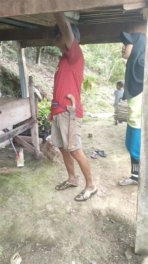 Beri Pupuk ke Tanaman Kakao: Panduan Praktis Bugis