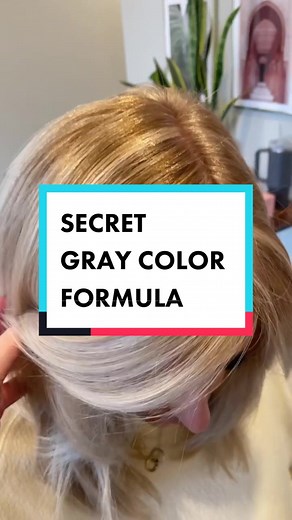 Gray Coverage and Blonde Hair Color Secrets Revealed!