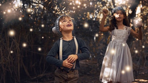 Fireflies face an uncertain future amid declining populations