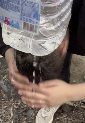 survival life hack! 🌲🚿 don’t know how to take a shower in the forest? fill a bottle with water, hang it on a branch, and let it flow! 💦👌 instant outdoor shower, ready to go! 😎🌿