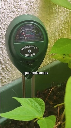 testing soil pH, light, and moisture meter for plant care