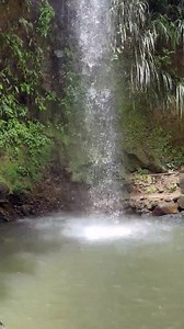 11K views · 360 reactions | From Diamond Botanical Gardens, St. Lucia to the majestic #Pitons, Soufrière's scenery is a feast for the eyes.  @sydieee__ (IG) #TravelSaintLucia #LetHerInspireYou #SaintLucia #Caribbean #Travel | Travel Saint Lucia | Facebook