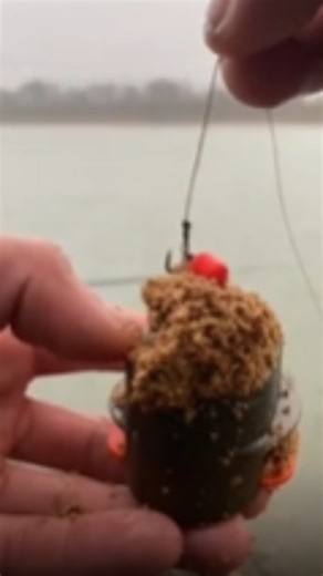 DIY carp fishing setup tips and baiting insights