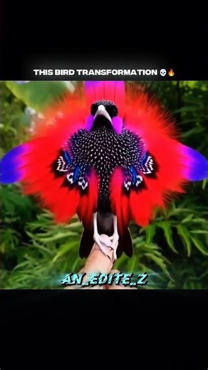 This Bird Transformation 💀🔥 #shorts