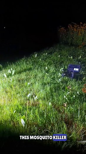 CTO ROBOTICS Media on Instagram: "The Laser That Hunts Mosquitoes 🤯 Join our global community, share your expertise, and explore partnership opportunities. 👉 www.ctorobotics.com Stay updated with the latest insights on #Robotics, #AI, #Automation, and #SmartManufacturing. 🚀 👉 https://ctorobotics.com/newsletter/ ⚠️ This video is shared for educational and informational purposes only. It does not contain any sponsored deals, advertising, or commercial intent. Credit to the original creator. Al