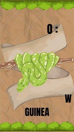 Meet biak green tree python 🐍 #shorts #viral #viralshorts #trending #facts