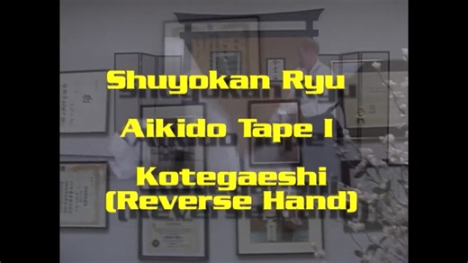 Shuyokan Ryu Aikido - Self Defense for the Modern Warrior Vol.1