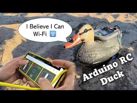 Duck 🦆 !!! - with RC, Arduino and Wi-Fi
