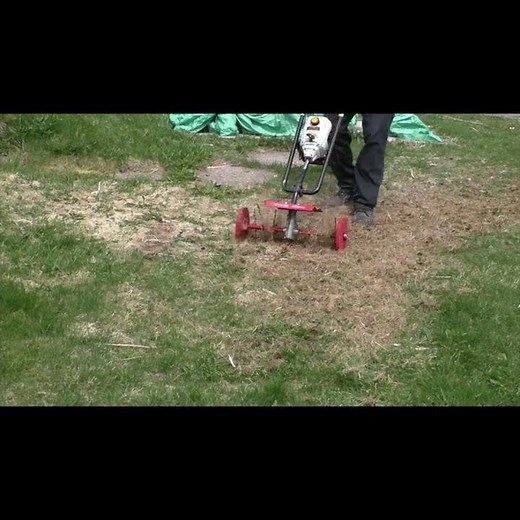 DIY Dethatcher for Rototiller: Easy Thatch & Moss Removal!