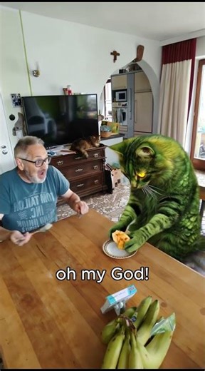 👉 Das ist keine Katze… das ist ein Alien 😳#shorts #katzen #lustig #alien#cats