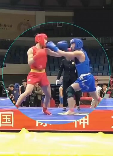 Wushu Sanda: A Glimpse into Chinese National Fighting