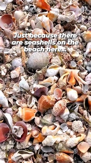 11K views · 488 reactions | Shelling tip!  Save & Read ⬇️ . Just...