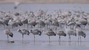 Where to find the Western Hemisphere’s largest sand dunes