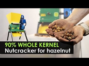 Electric nutcracker for hazelnut. 90% of whole kernel