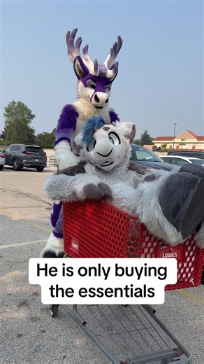 Only the essentials! #furry #fursuit
