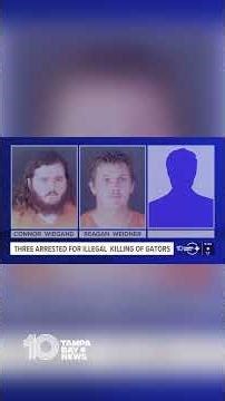 3 arrested in alligator poaching investigation in Sarasota, Manatee and Hardee counties
