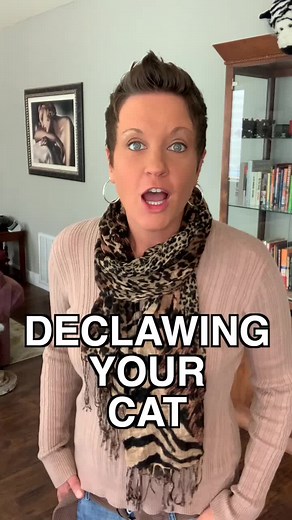 Cat Declawing: Is It Necessary for Your Feline Friend?