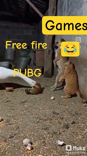 subscribe suit shorts funny videos 😂😂