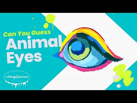 Guess the Animal Eyes Fun, Unique Eyes Video