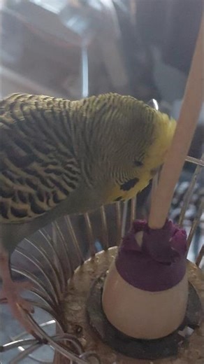 Neo's shady business