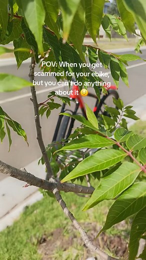 User_Øzvin on TikTok