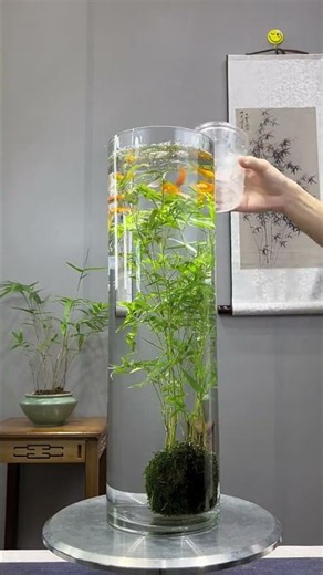 Nature in a Glass: A Mini Underwater Garden 🌿