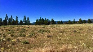 18 reactions |  Own Your Piece of Oregon Today!  ️ Lot 8, Block...