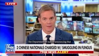 CBP's constant vigilance played a key role in finding dangerous fungus that Chinese nationals tried to smuggle into the U.S. We will find the needle in a haystack, and we will keep America safe. | U.S. Customs and Border Protection