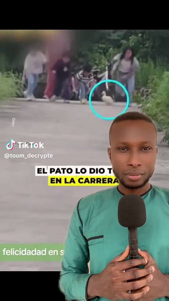 L’ATTITUDE DES ANIMAUX #attitude #animal #insolite #intelligence