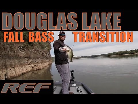 DOUGLAS LAKE: Fall Transition Bass Fishing