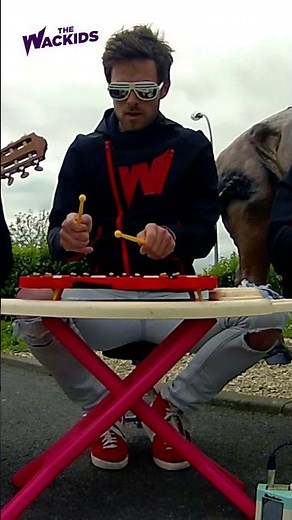 Smoke on the water - DEEP PURPLE (played with toys)