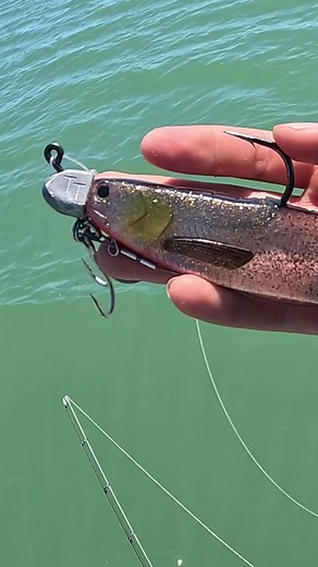 Big Barramundi Fishing with TT 220mm Enforcer Soft Plastics Lure