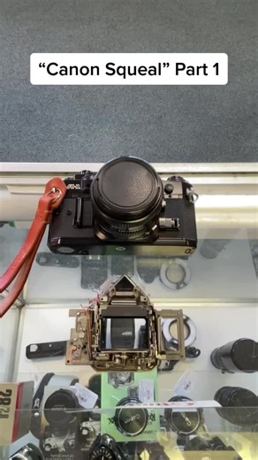 Have you heard of the “Canon Squeal”? If you’re a film user, have you heard this sound when you fire the shutter? If so, keep watching to learn what causes this! Let us know what you’d like to see next! #camerarepair #canonsqueal #filmcamera #canona1 #advancecamera #filmphotography #fyp #photographers #repairshop #cameratechnician #explore #pdxphotographer