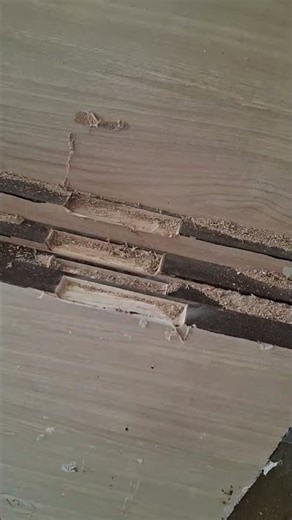 Door hinges fixing work progress video friends #wooden work kings #subscribe @carpenter #tranding