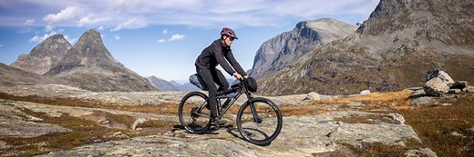 Sonder Broken Road wilderness hardtail mountain bike