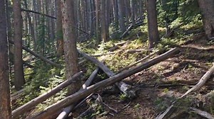 Client visiting from another country. Who is now a great friend. #middleofnowhere | Colorado Bigfoot