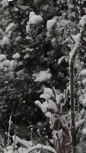 Yuletide by the Fireside #yuletideseason #yuletide #yule #celtic | yuletide