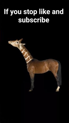 #remix #if you stop like and subscribe