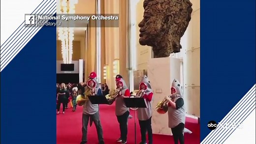 National Symphony Orchestra performs ‘Baby Shark’