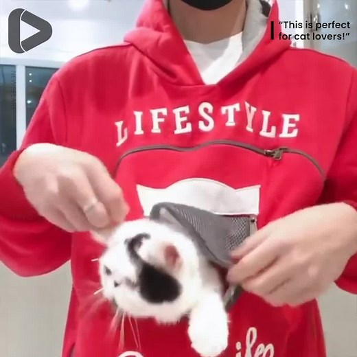 1M views · 5.8K reactions | This hoodie is perfect for cat lovers!  | IGV | Facebook