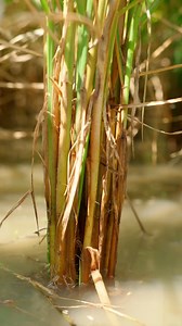 2M views · 10K reactions | In this video, we take you through the...