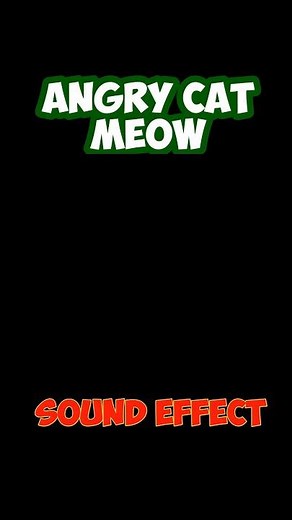 Angry Cat Meow - Sound Effect [HD]