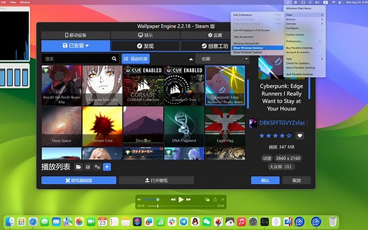在macOS上使用Wallpaper Engine（虚拟机）